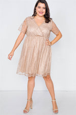 Taupe Plus Size Lace Fit & Flare Dress