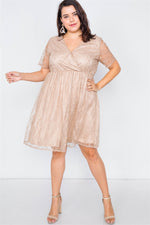 Taupe Plus Size Lace Fit & Flare Dress